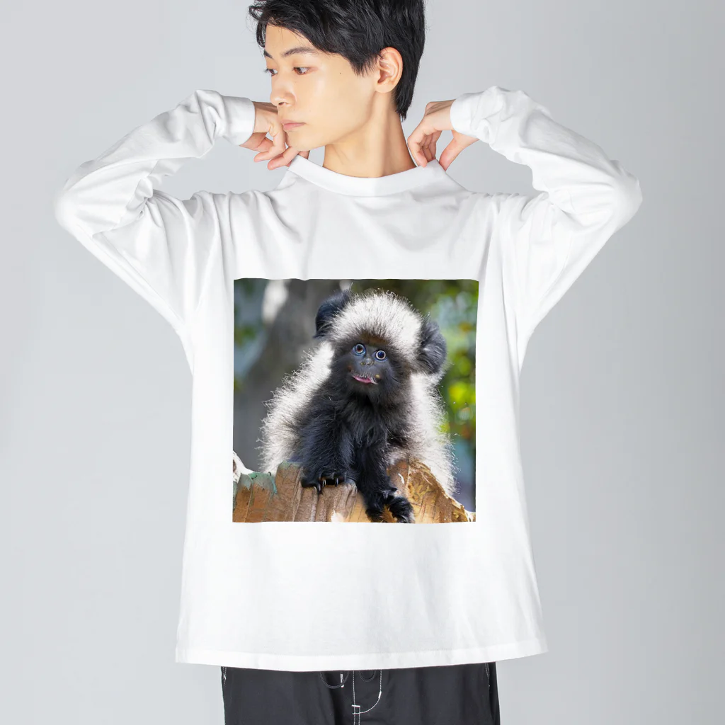 kuri_AMERICANの珍しい動物 ビッグシルエットロングスリーブTシャツ