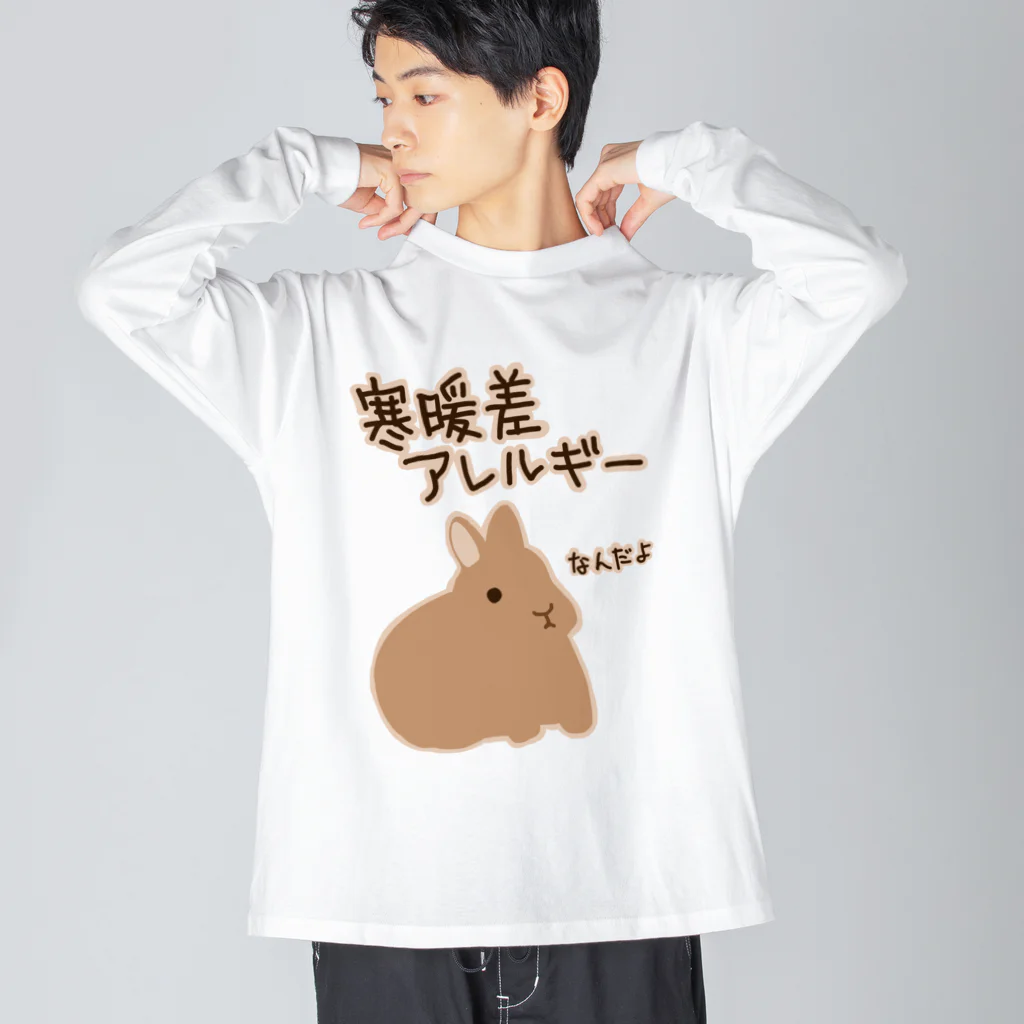 ミナミコアリクイ【のの】の寒暖差アレルギー【うさぎ】 ビッグシルエットロングスリーブTシャツ