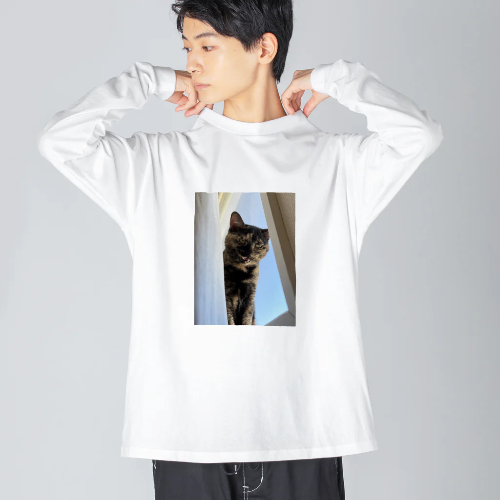 燕麦のｶﾞｵ~ｯ Big Long Sleeve T-Shirt