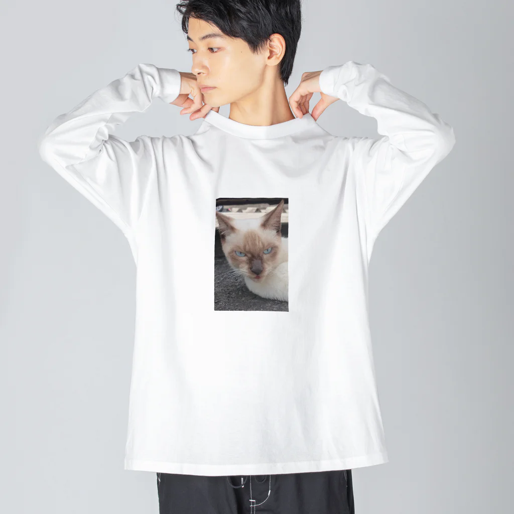 Makoto_Kawano Designの悪そうなのにカワイイ猫ちゃん ビッグシルエットロングスリーブTシャツ