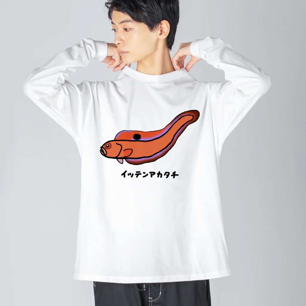 脂身通信Ｚの【魚シリーズ】イッテンアカタチ♪231103 Big Long Sleeve T-Shirt