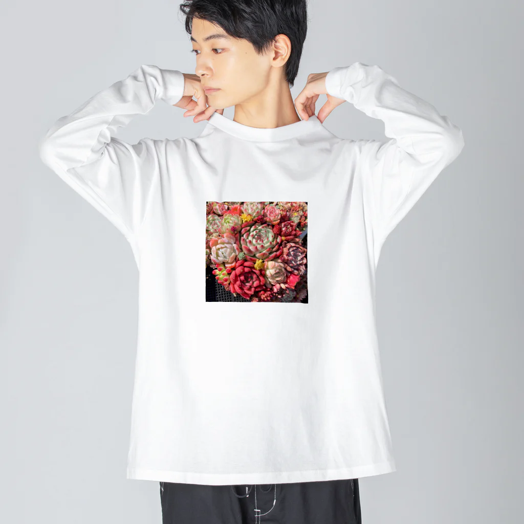 Echeveria_Masterの華やかなエケベリア ビッグシルエットロングスリーブTシャツ