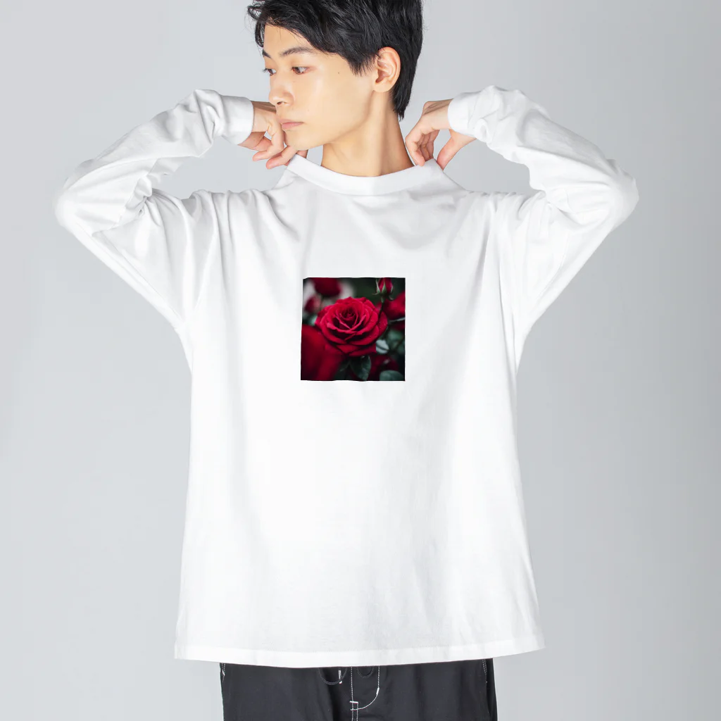 feisのバラ Big Long Sleeve T-Shirt