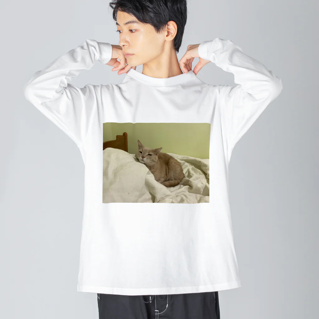 ねこかわたすかるのねこかわたすかる8 Big Long Sleeve T-Shirt