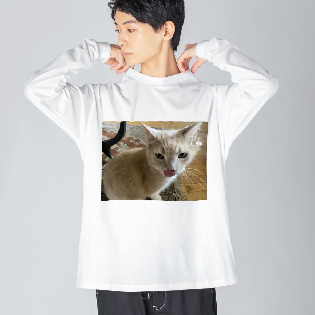 ねこかわたすかるのねこかわたすかる5 Big Long Sleeve T-Shirt