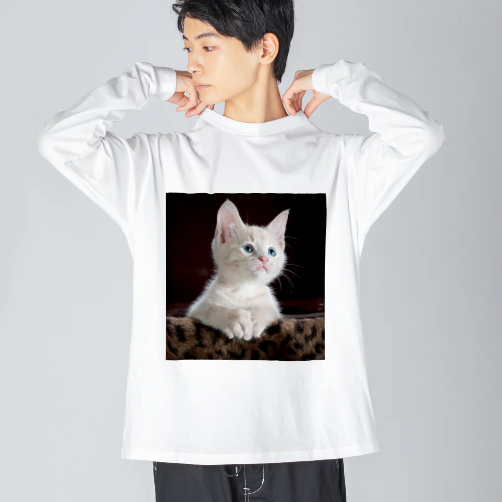 可愛い動物の猫 Big Long Sleeve T-Shirt