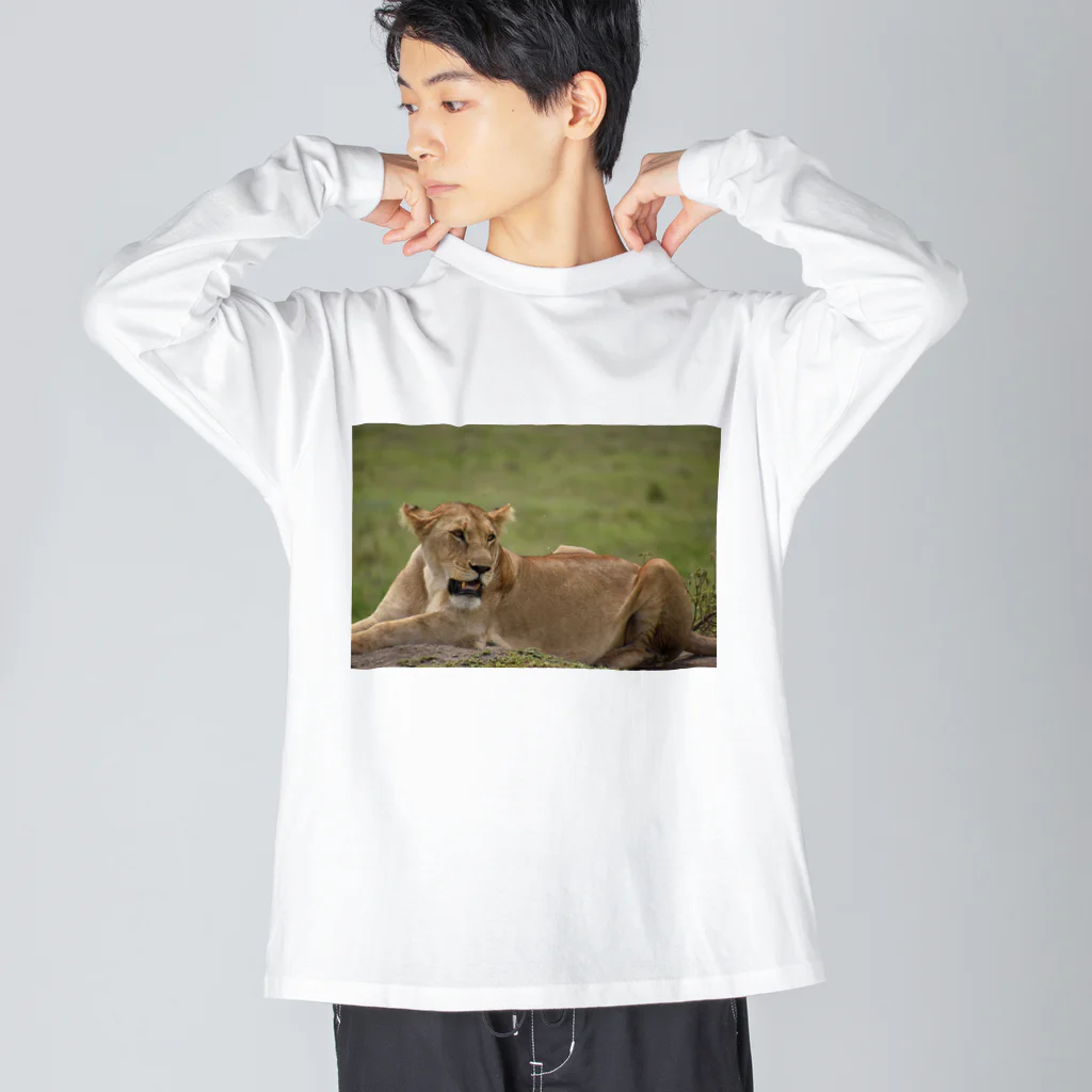 mayura_photoのサバンナのメスライオン Big Long Sleeve T-Shirt