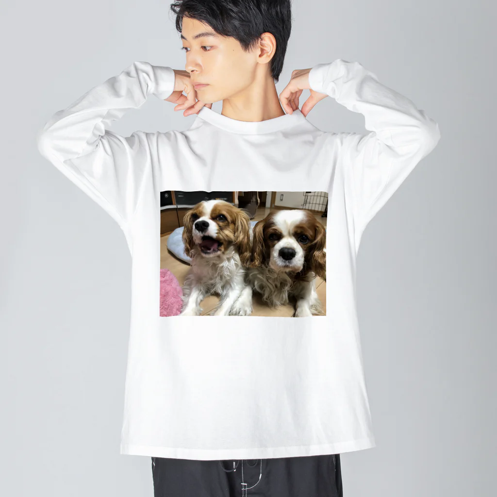 pppdatoのキャバリア　チビミニの日常 Big Long Sleeve T-Shirt