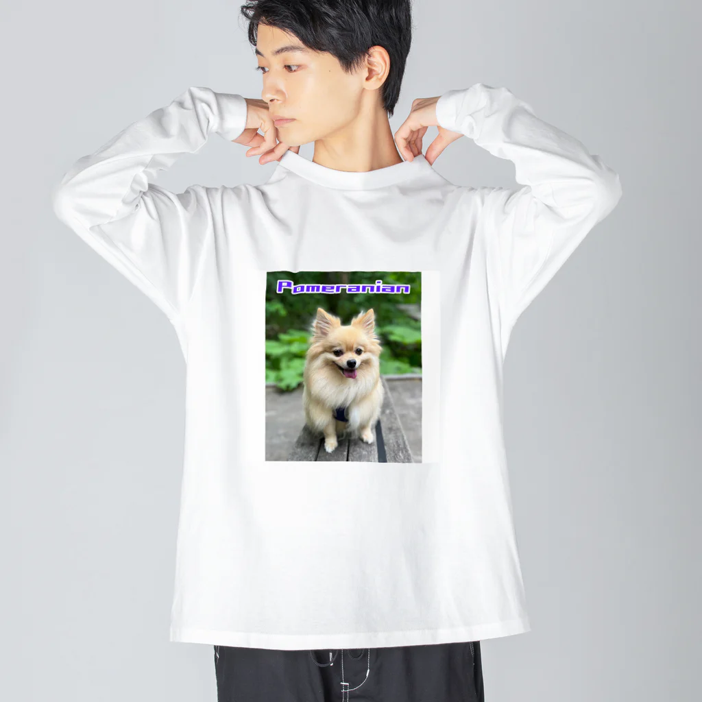 もふもふポメ　のもふもふポメ Big Long Sleeve T-Shirt