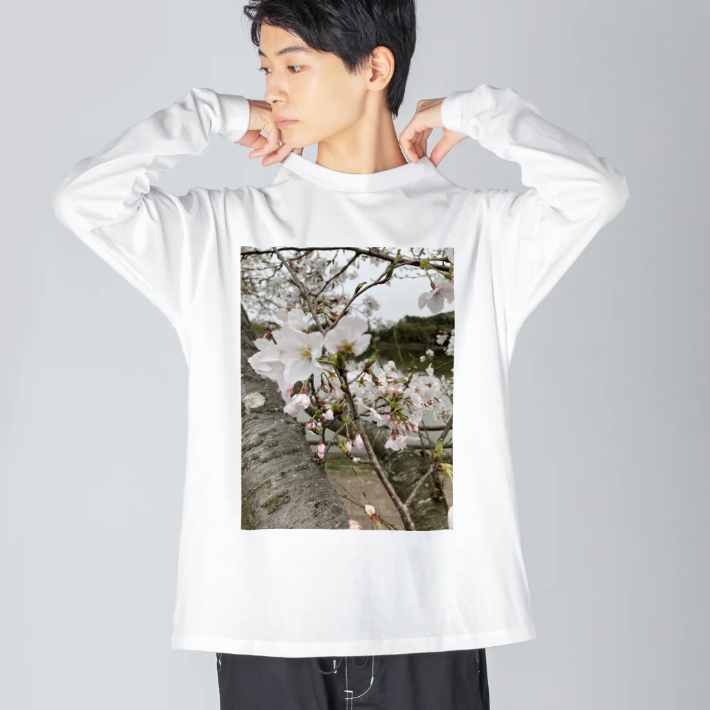 tksの春の顔サクラ Big Long Sleeve T-Shirt