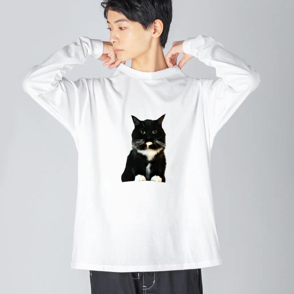 sio and suiの真面目ねこスイ〜証明写真風〜 Big Long Sleeve T-Shirt