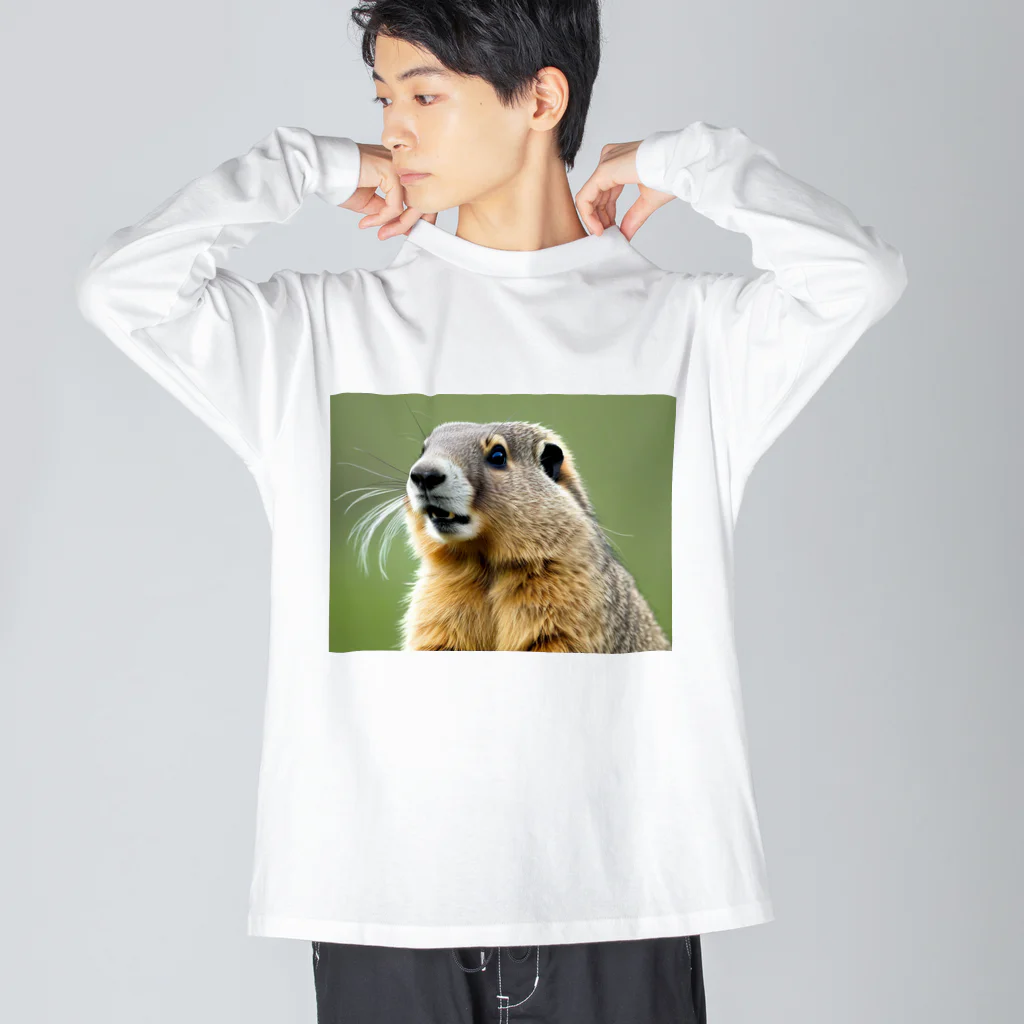 ジャパネットケフィアのぽってりマーモット Big Long Sleeve T-Shirt