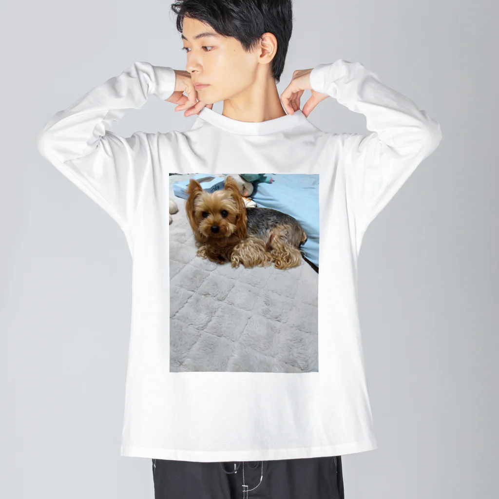 ベイビーちゃんのアレンくん Big Long Sleeve T-Shirt