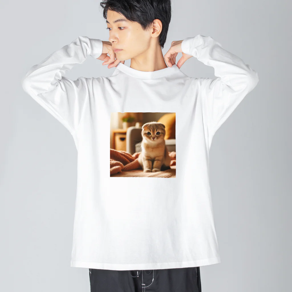 akinyan3128のご機嫌斜め(スコティッシュフォールド) Big Long Sleeve T-Shirt