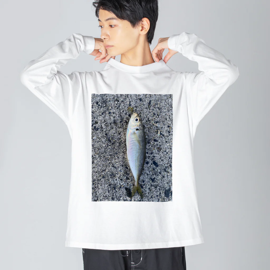 popcornの３月に釣れたアジ Big Long Sleeve T-Shirt