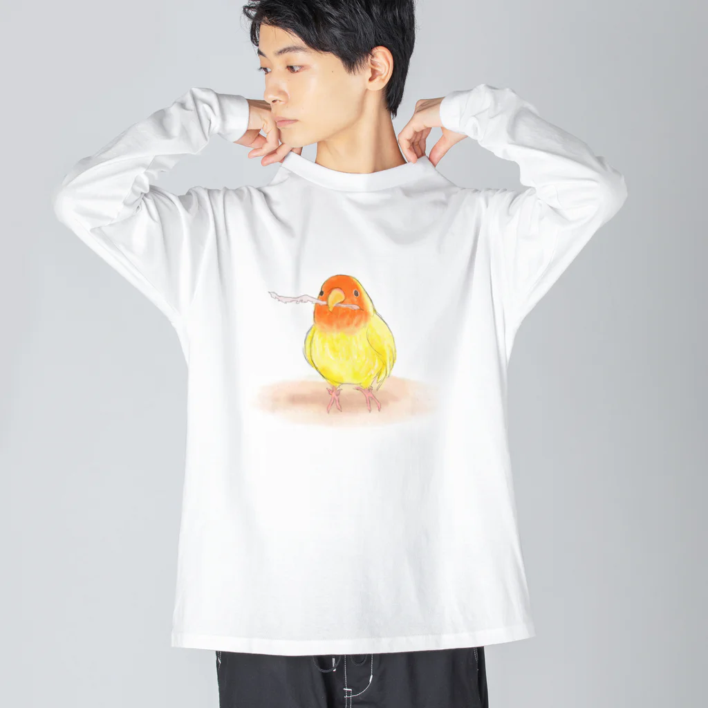 まめるりはことりのコザクラインコ　レイ【まめるりはことり】 ビッグシルエットロングスリーブTシャツ