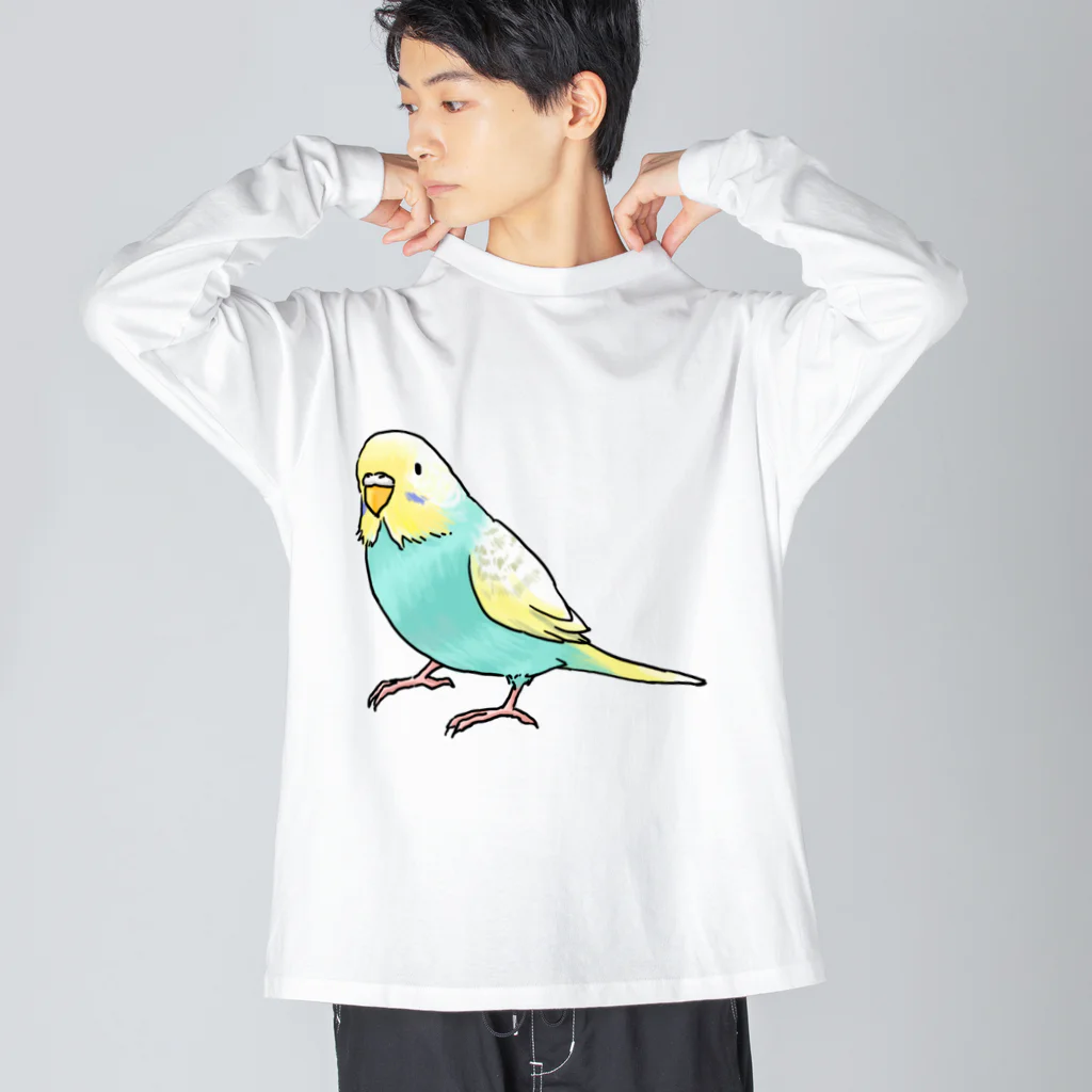 まめるりはことりのごきげんセキセイインコ【まめるりはことり】 Big Long Sleeve T-Shirt