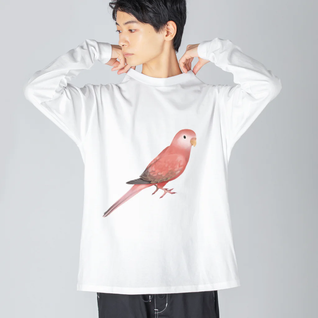 まめるりはことりのアキクサインコ　ピンク【まめるりはことり】 Big Long Sleeve T-Shirt