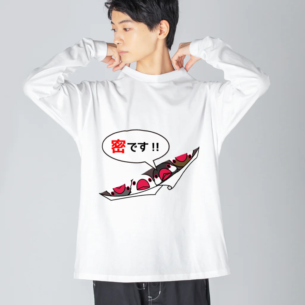 まめるりはことりの密です！フィンチさん【まめるりはことり】 ビッグシルエットロングスリーブTシャツ