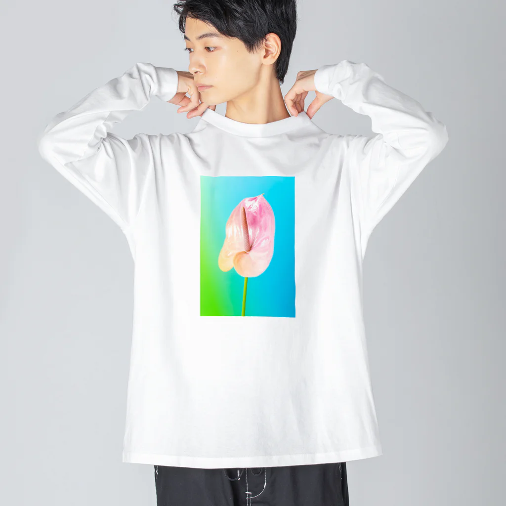 ShotaMiyakeの花の写真(アンスリウム) ビッグシルエットロングスリーブTシャツ