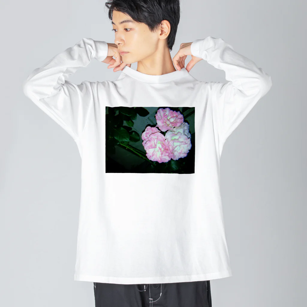 ふびらい飯のお花フィルム Big Long Sleeve T-Shirt
