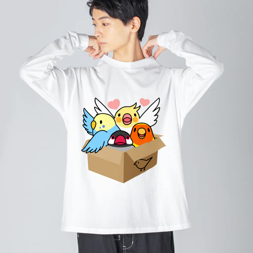 まめるりはことりの拾ってくださいインコ【まめるりはことり】 ビッグシルエットロングスリーブTシャツ