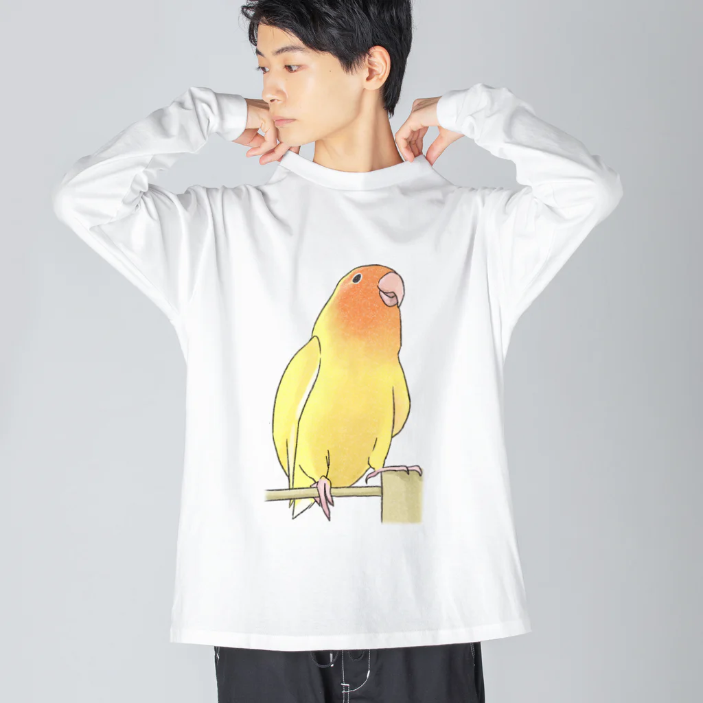 まめるりはことりの得意げ可愛い　コザクラインコちゃん【まめるりはことり】 ビッグシルエットロングスリーブTシャツ