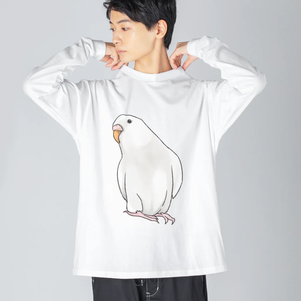 まめるりはことりのアルビノセキセイインコちゃん【まめるりはことり】 ビッグシルエットロングスリーブTシャツ