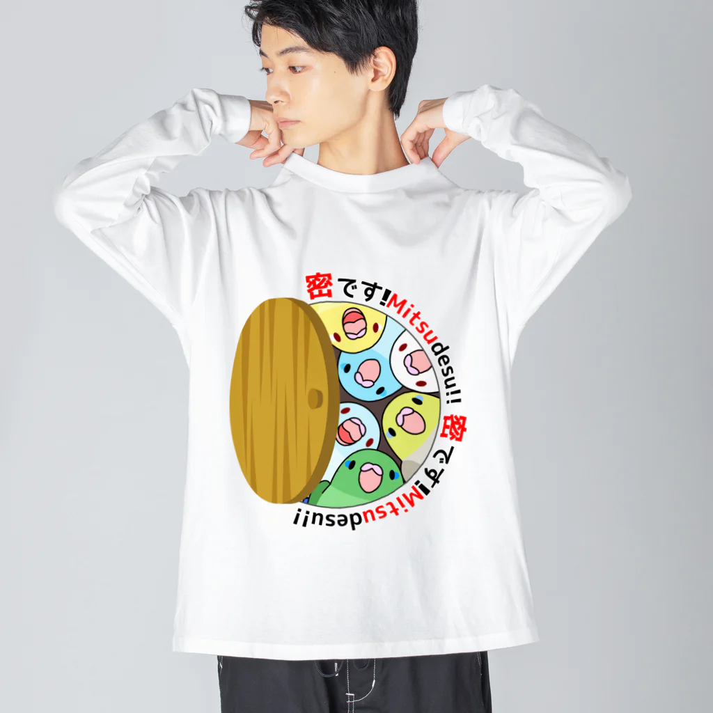 まめるりはことりの密です！マメルリハさん【まめるりはことり】 ビッグシルエットロングスリーブTシャツ