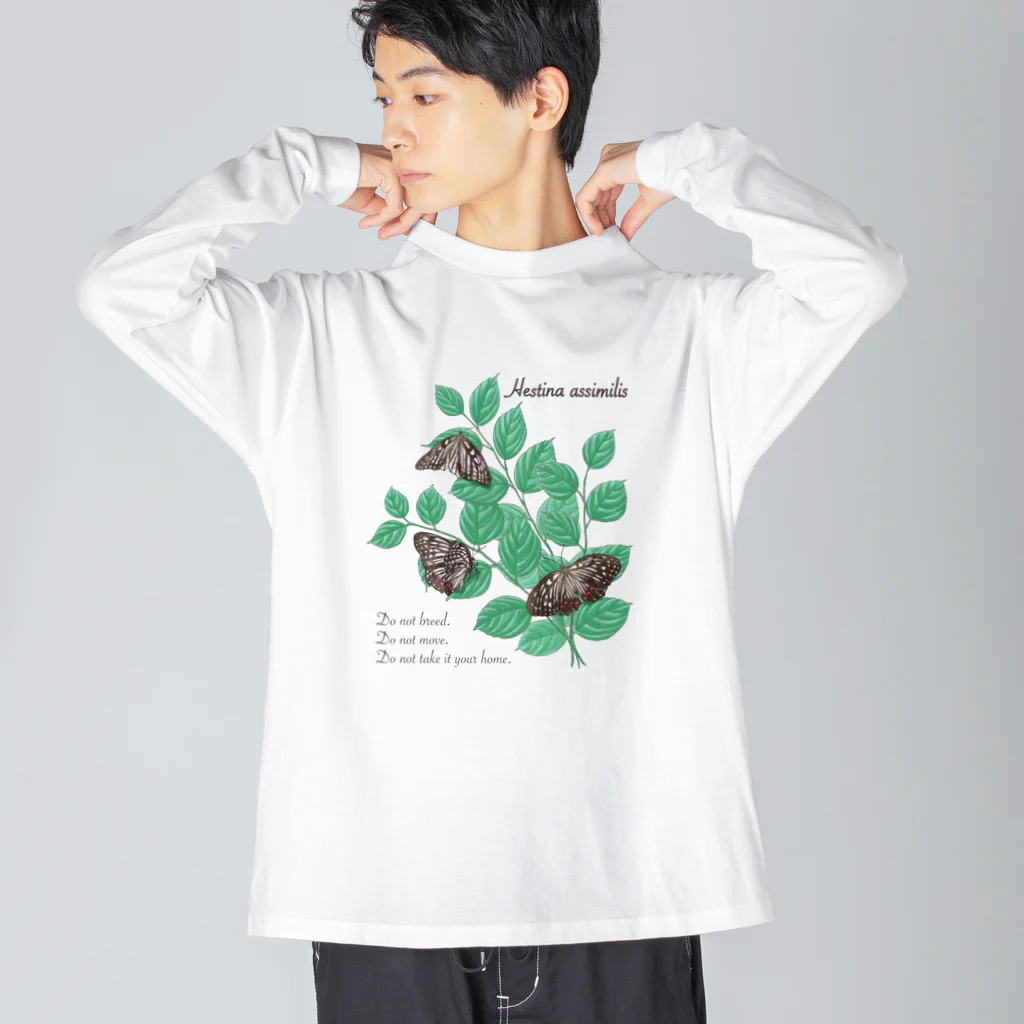 kitaooji shop SUZURI店のアカボシゴマダラとエノキ ビッグシルエットロングスリーブTシャツ