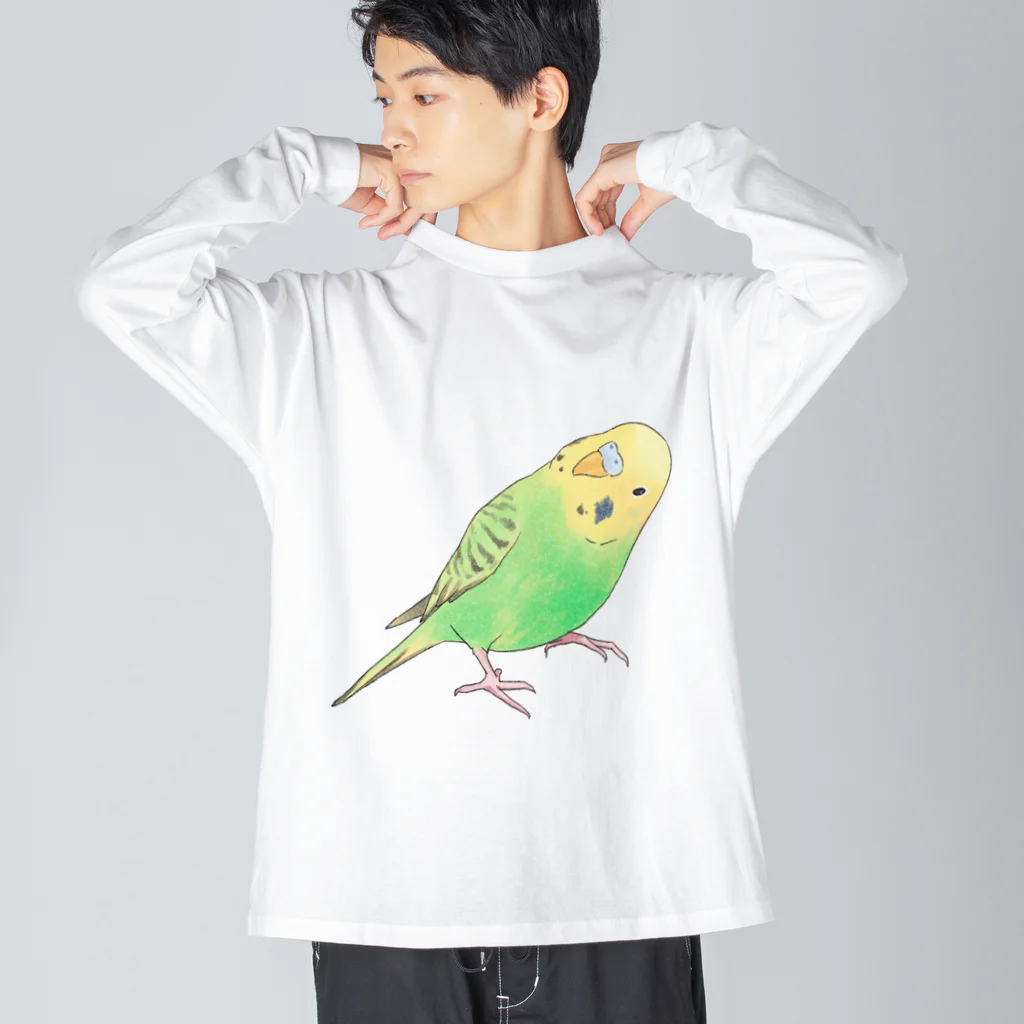 まめるりはことりの首傾げセキセイインコ　ピーちゃん【まめるりはことり】 Big Long Sleeve T-Shirt