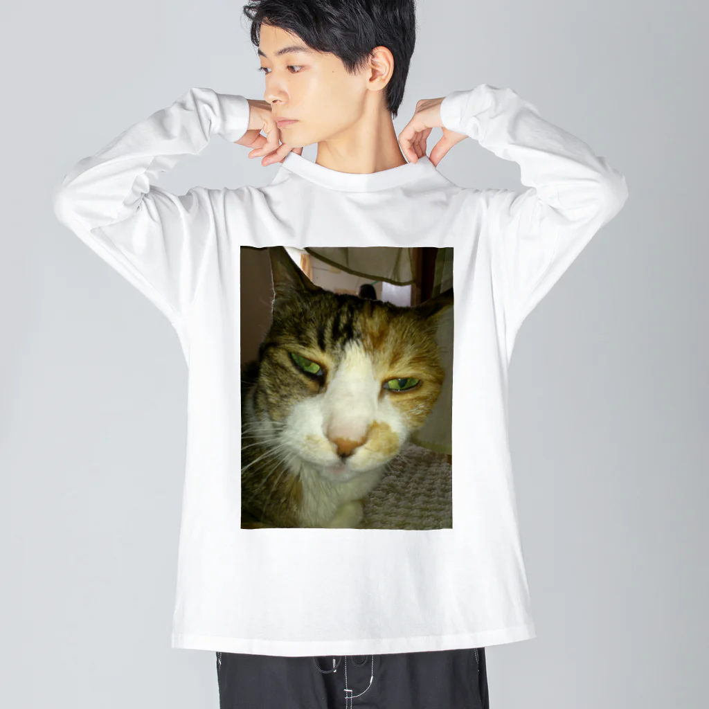 powpowの寝ぼけ猫 ビッグシルエットロングスリーブTシャツ