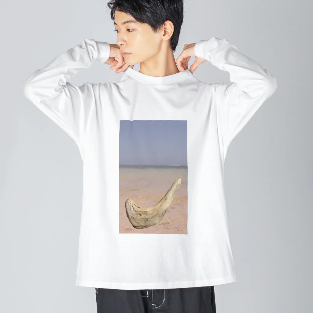 rainbow wing❤︎のDriftwood Big Long Sleeve T-Shirt