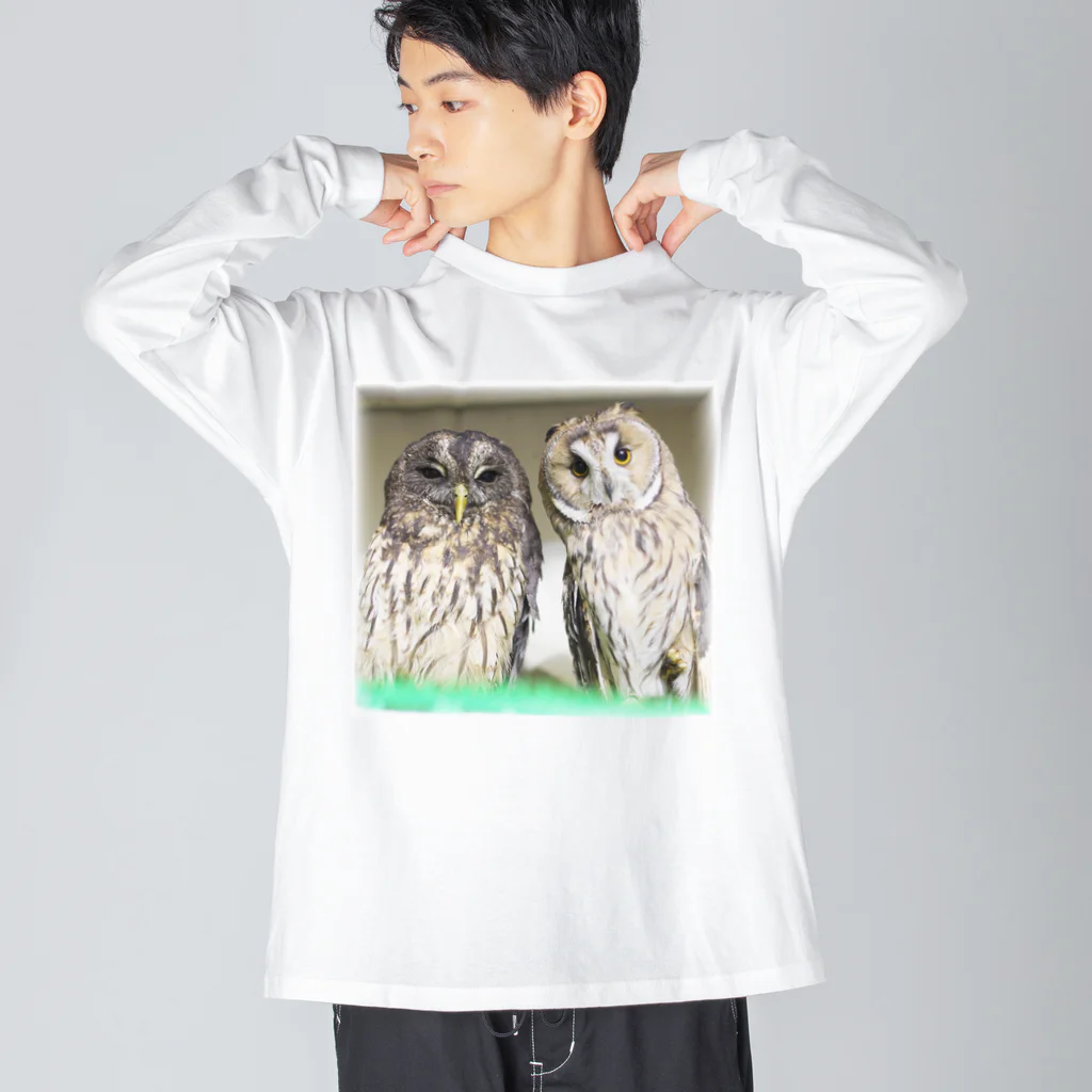 アニマルカフェ　The zoo &猛禽屋中部のナンベイヒナフクロウ&トラフズク ビッグシルエットロングスリーブTシャツ