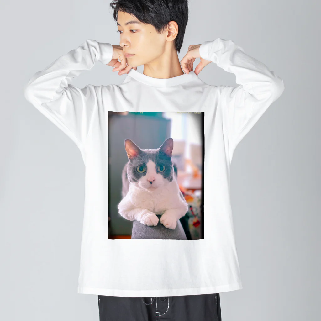 Rock in Catsの猫毛団のぽんちゃん ビッグシルエットロングスリーブTシャツ