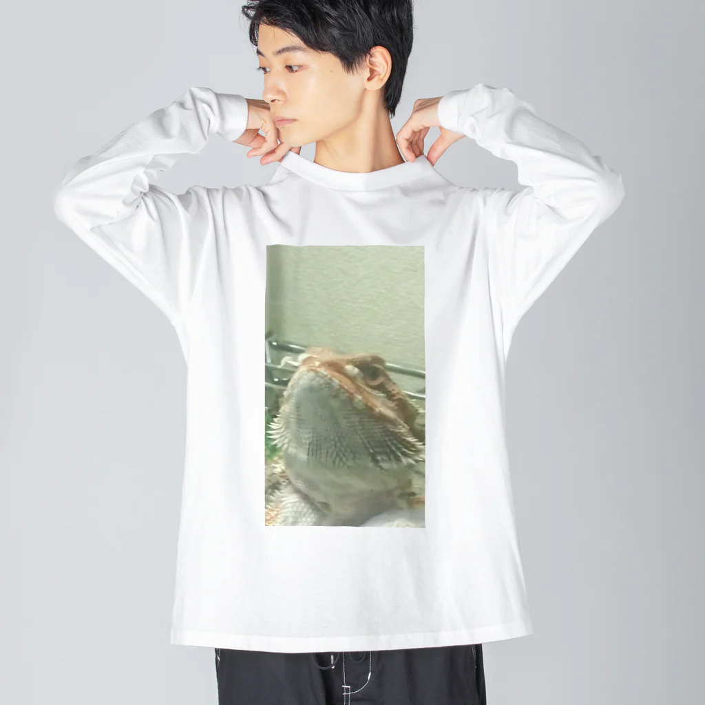 たぬ屋 うちの子多め。のフトアゴふぁぷたん。はなえのき。 Big Long Sleeve T-Shirt