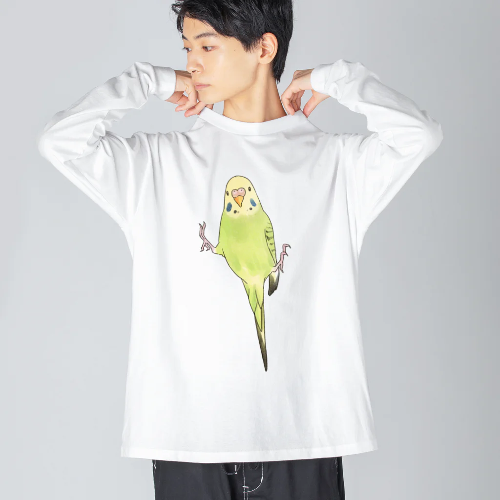 まめるりはことりのピタッとセキセイインコちゃん【まめるりはことり】 ビッグシルエットロングスリーブTシャツ