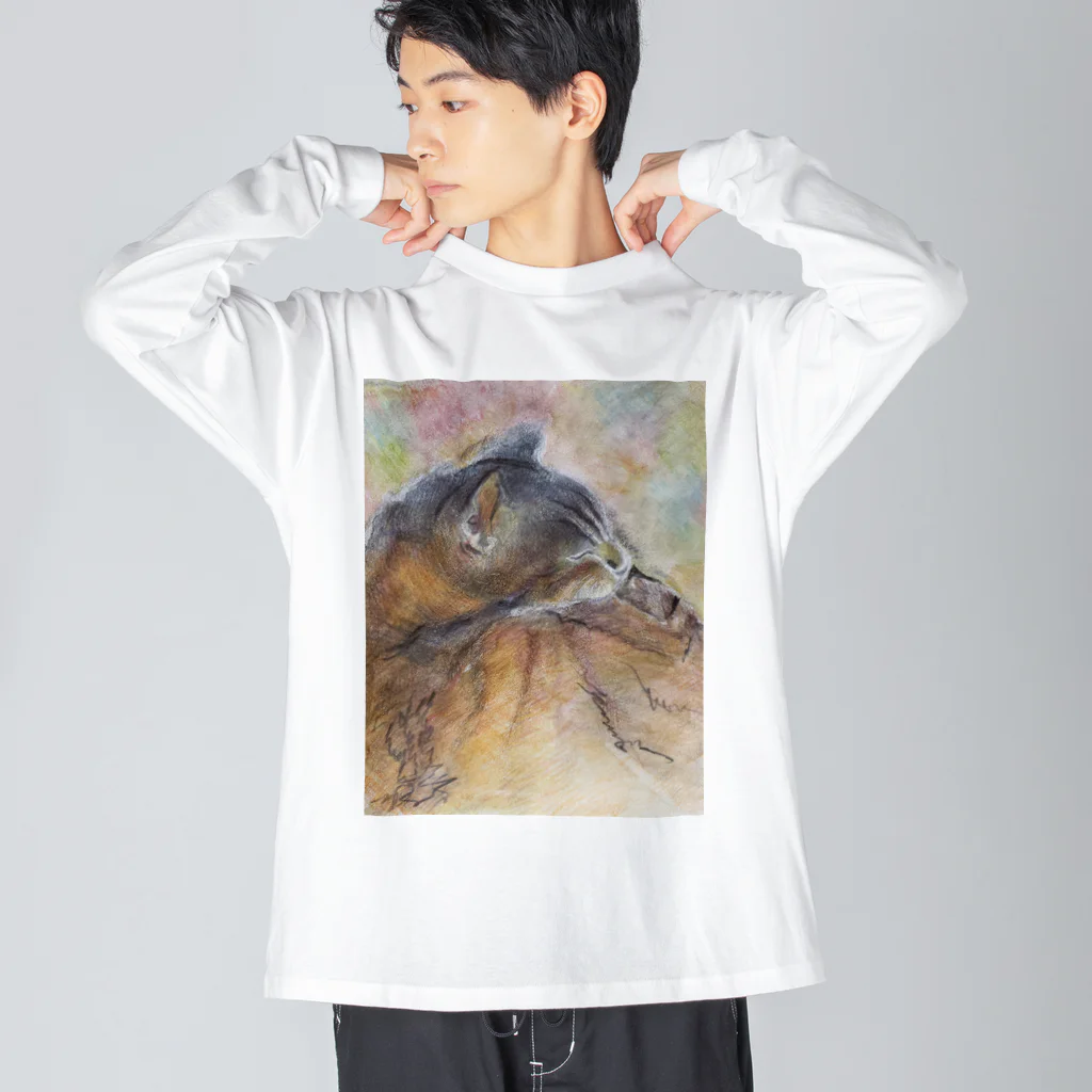 poponohaneのねむねむねこ ビッグシルエットロングスリーブTシャツ