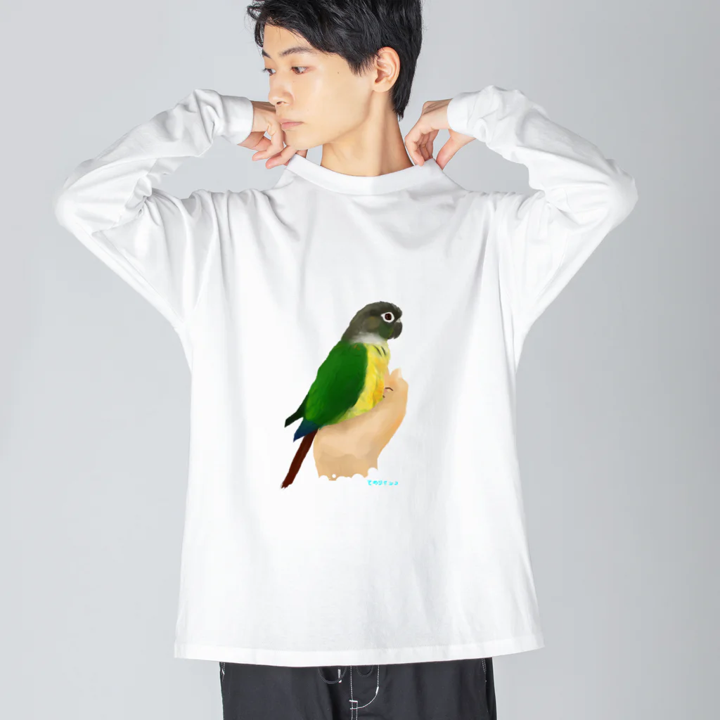 アキクサインコとウロコインコの手のりインコ、ウロコインコ Big Long Sleeve T-Shirt