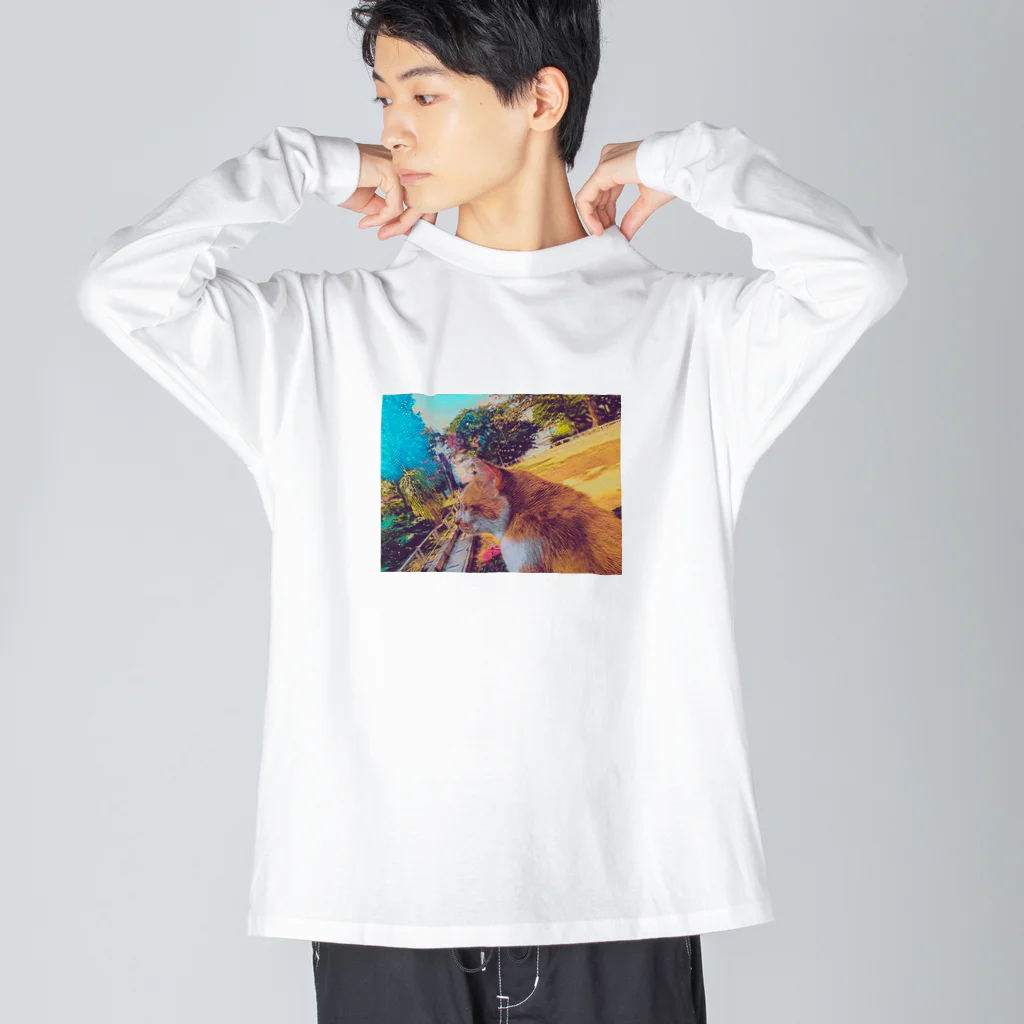 ひろん(沖縄の人のスマホ写etc…blog)のおきなわねこちゃん Big Long Sleeve T-Shirt