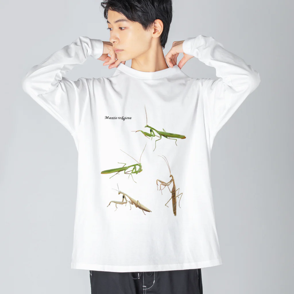 L_arctoaのウスバカマキリ（背景透過ver） ビッグシルエットロングスリーブTシャツ