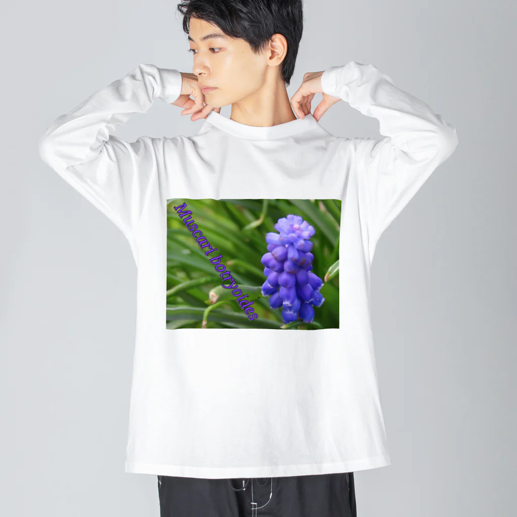 でおきしりぼ子の実験室のMuscari botryoides(4:3) ビッグシルエットロングスリーブTシャツ