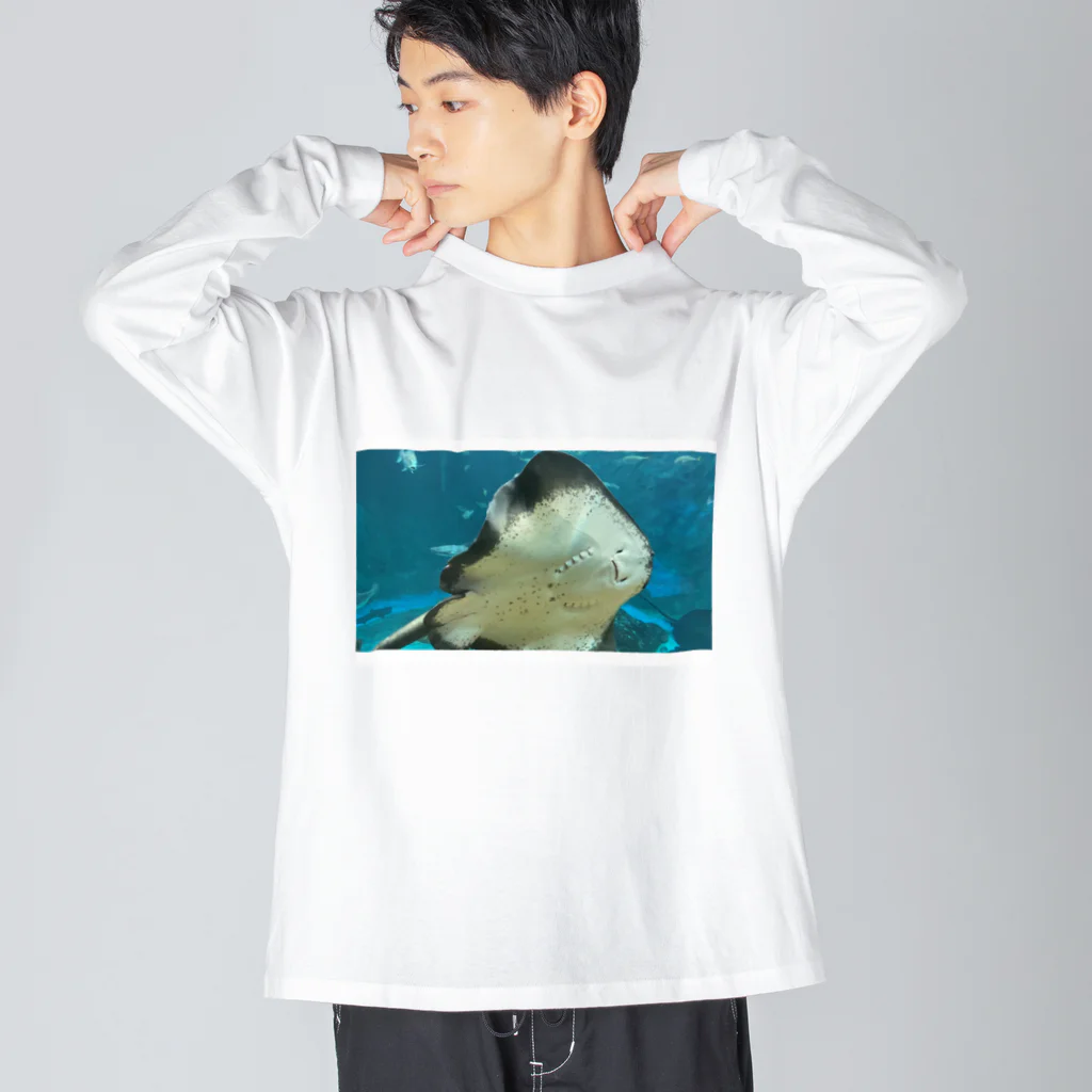 麦畑のエイが通りますよ Big Long Sleeve T-Shirt