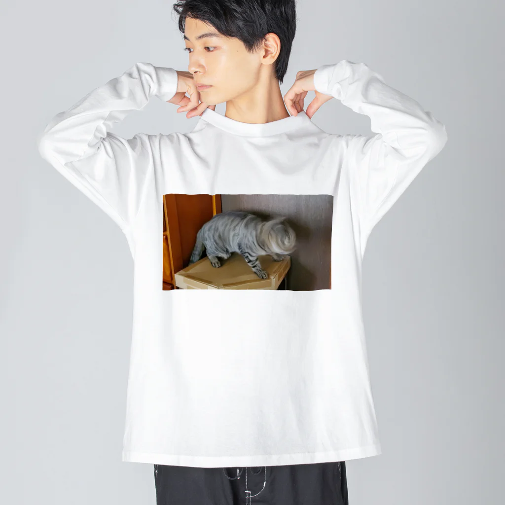 猫又雑貨店のあざ猫ドリルさん Big Long Sleeve T-Shirt