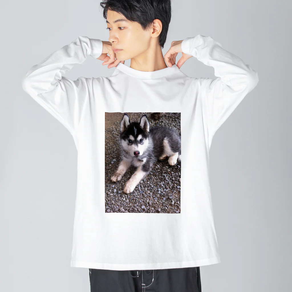 元シベリアンハスキーのチョビ(*≧∀≦*)君のどろんこチョビくん Big Long Sleeve T-Shirt