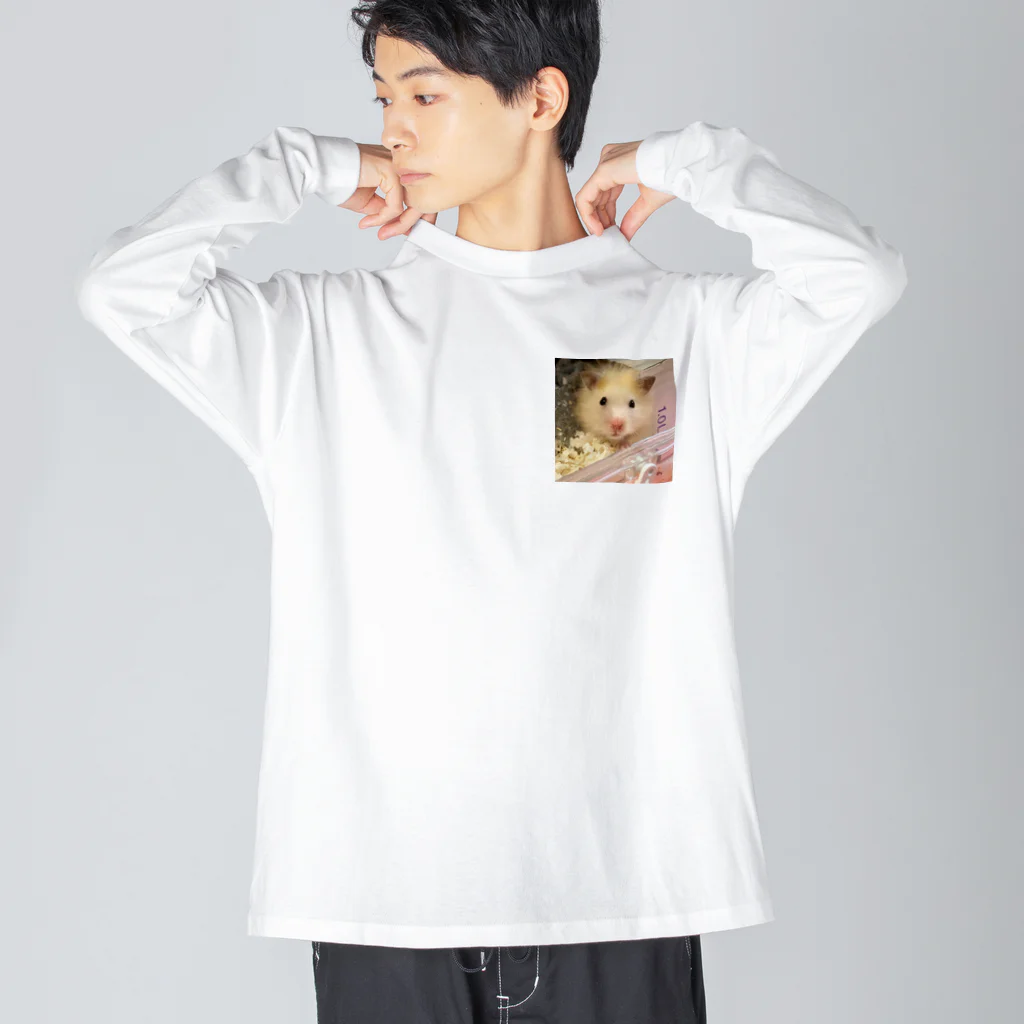 わたぼこりプ•リンのキンクマぷりんくん Big Long Sleeve T-Shirt