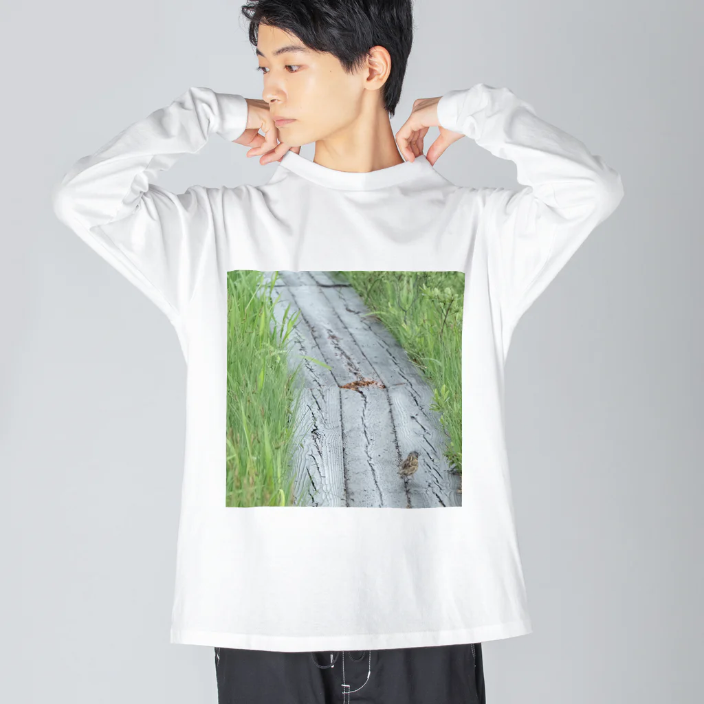 asako=niagaraのホオアカの寄り道② ビッグシルエットロングスリーブTシャツ