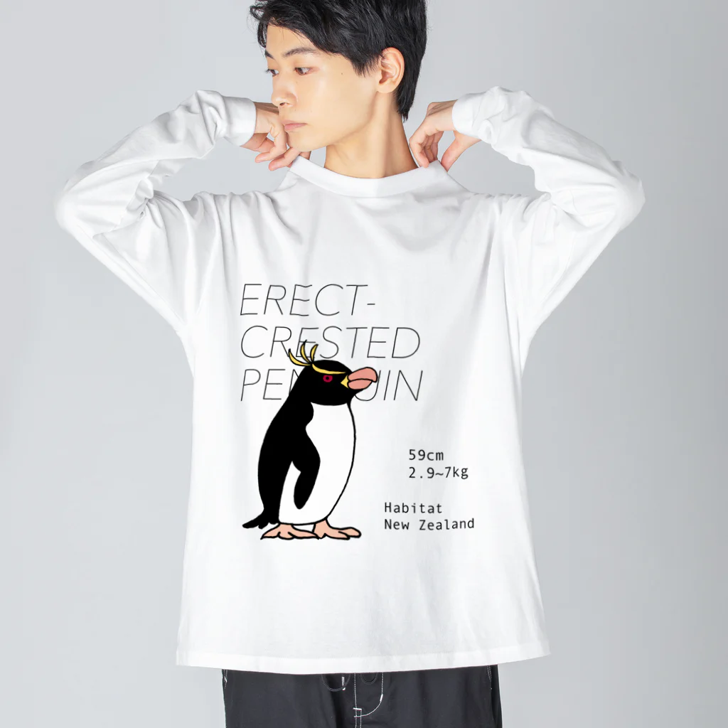 空とぶペンギン舎のマユダチペンギン Big Long Sleeve T-Shirt