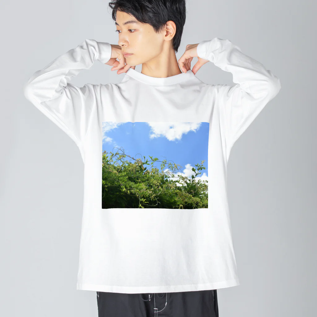 ぺてぃもーずのおみせのソラとハッパ Big Long Sleeve T-Shirt