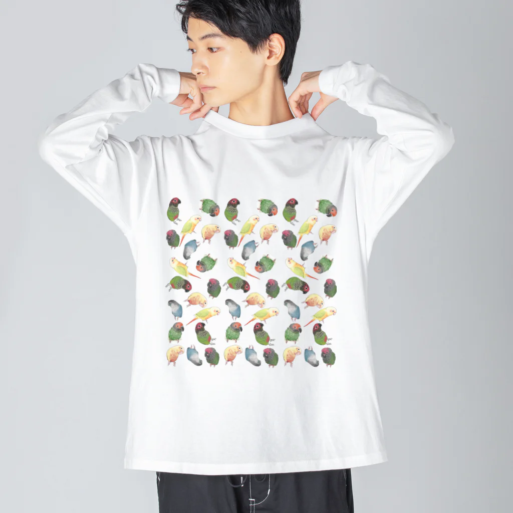 まめるりはことりのたっぷりウロコインコちゃん【まめるりはことり】 ビッグシルエットロングスリーブTシャツ